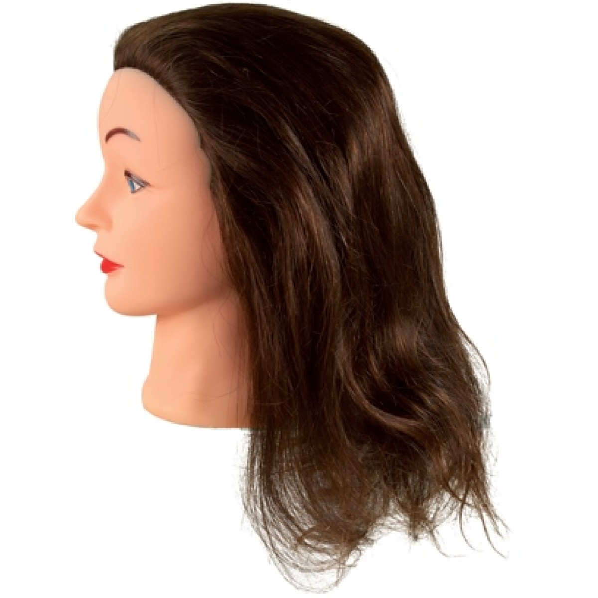 Training head with real hair 14’’